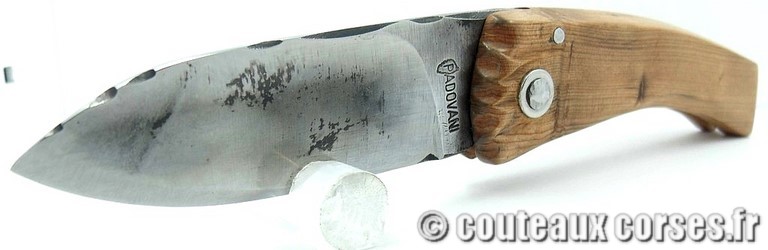 couteau corse manche genevrier et lame acier carbone couteau-corse-curnicciolu-LBER753-padovani-1.jpg