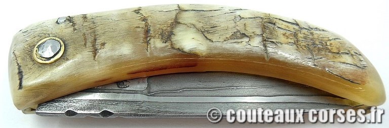 curnicciolu-damas-et-corne-de-belier-_HGFDP741-padovani--3