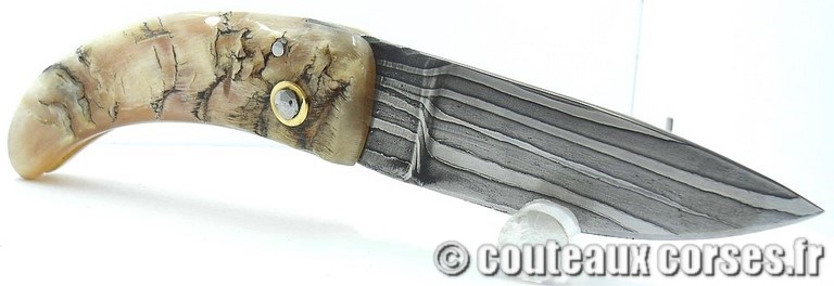curnicciolu-damas-et-corne-de-belier-_HGFDP741-padovani-1128