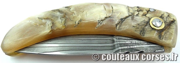 curnicciolu-damas-et-corne-de-belier-_HGFDP741-padovani--12