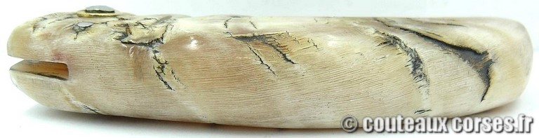 curnicciolu-damas-et-corne-de-belier-_HGFDP741-padovani-12