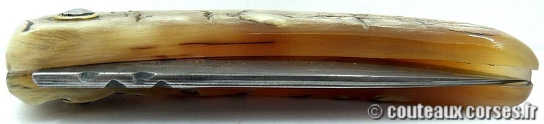 curnicciolu-damas-et-corne-de-belier-_HGFDP741-padovani--13