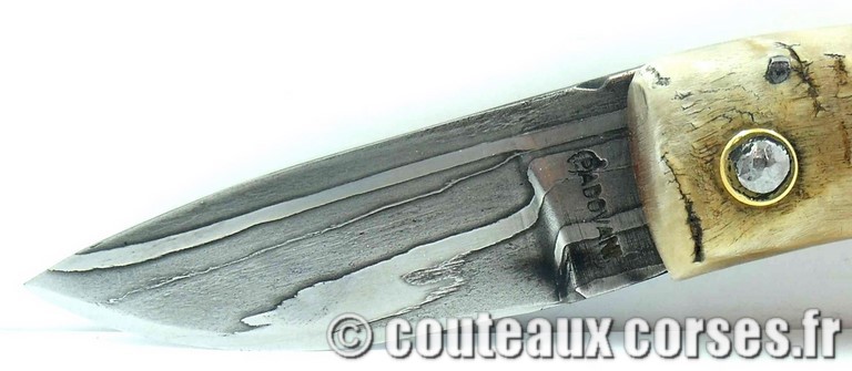couteau corse curnicciolu damas et corne de belier curnicciolu-damas-et-corne-de-belier-_HGFDP741-padovani--18