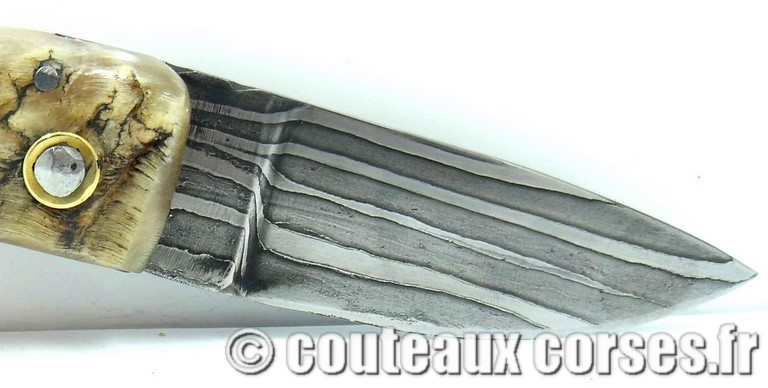 couteau corse curnicciolu damas et corne de belier curnicciolu-damas-et-corne-de-belier-_HGFDP741-padovani--11