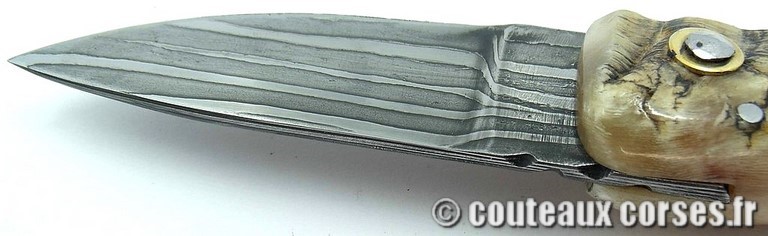 curnicciolu-damas-et-corne-de-belier-_HGFDP741-padovani--189