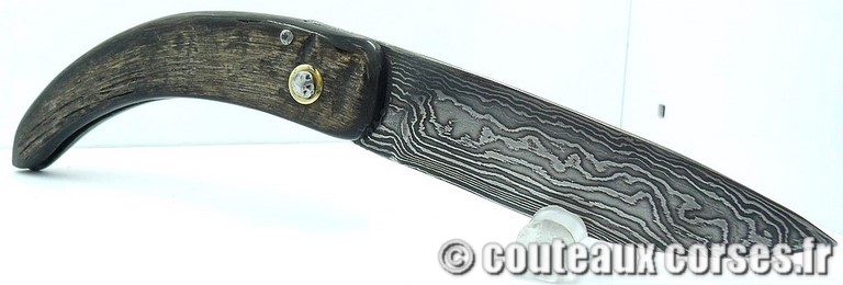 curnicciolu-damas-et-corne-de-bouc-TLFIU953-padovani-1128
