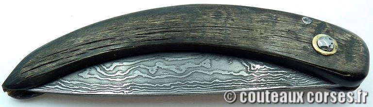 curnicciolu-damas-et-corne-de-bouc-TLFIU953-padovani-12
