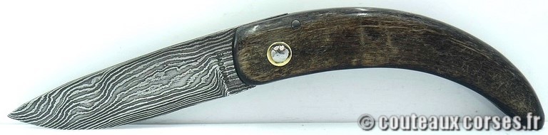 couteau corse curnicciolu damas et corne de belier curnicciolu-damas-et-corne-de-bouc-TLFIU953-padovani-15