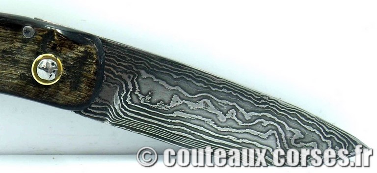 couteau corse curnicciolu damas et corne de belier curnicciolu-damas-et-corne-de-bouc-TLFIU953-padovani-11