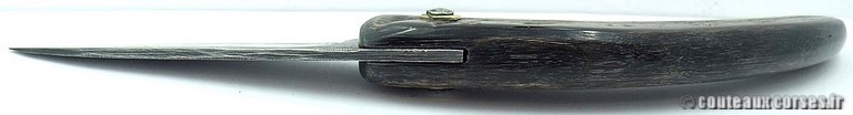curnicciolu-damas-et-corne-de-bouc-TLFIU953-padovani-14