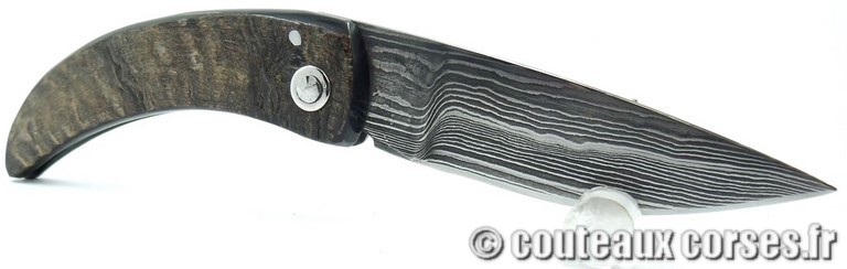 curnicciolu-damas-et-corne-de-bouc-KLGP6174-padovani-1128