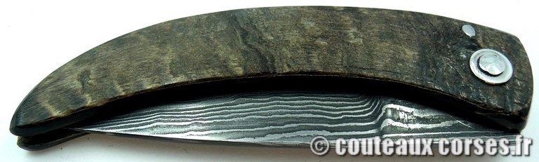 curnicciolu-damas-et-corne-de-bouc-KLGP6174-padovani-12