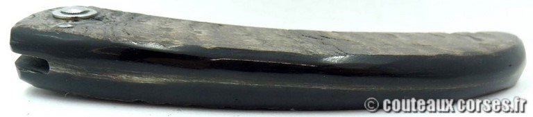 curnicciolu-damas-et-corne-de-bouc-KLGP6174-padovani-12