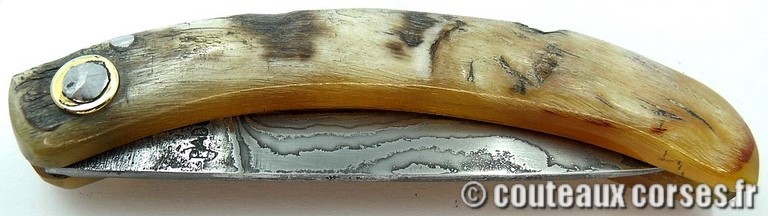 curnicciolu-damas-et-corne-de-bouc-JKFP4176-padovani-3