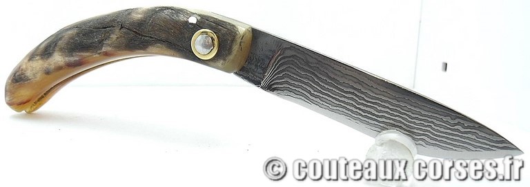 curnicciolu-damas-et-corne-de-bouc-JKFP4176-padovani-1128