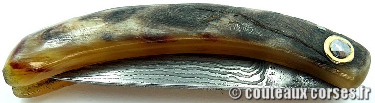 curnicciolu-damas-et-corne-de-bouc-JKFP4176-padovani-12