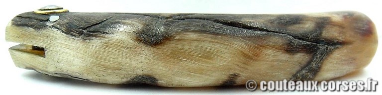 curnicciolu-damas-et-corne-de-bouc-JKFP4176-padovani-12