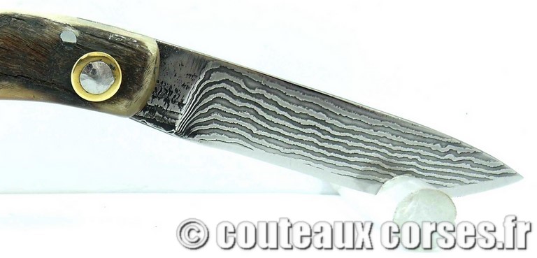 couteau corse curnicciolu damas et corne de belier curnicciolu-damas-et-corne-de-bouc-JKFP4176-padovani-11