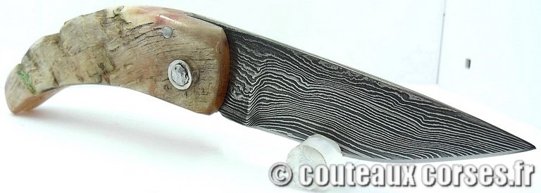 curnicciolu-damas-et-corne-de-belier-KYTR159-padovani-128
