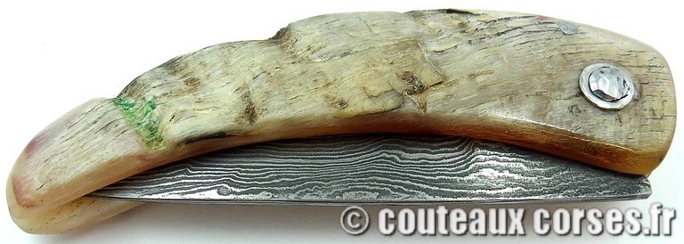 curnicciolu-damas-et-corne-de-belier-KYTR159-padovani-12