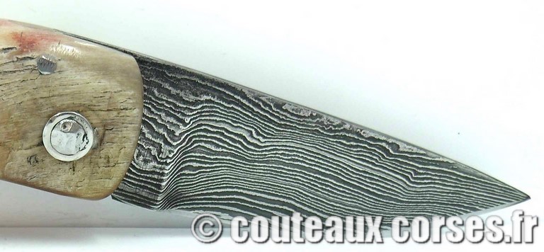 couteau corse curnicciolu damas et corne de belier curnicciolu-damas-et-corne-de-belier-KYTR159-padovani-11