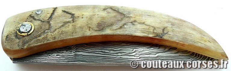 curnicciolu-damas-et-corne-de-belier-_MLJG843-padovani-3