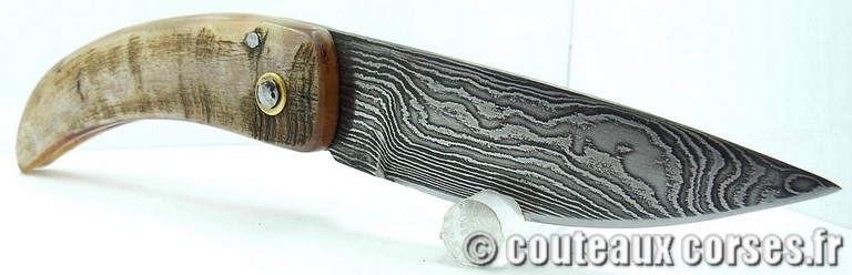 curnicciolu-damas-et-corne-de-belier-_MLJG843-padovani-128