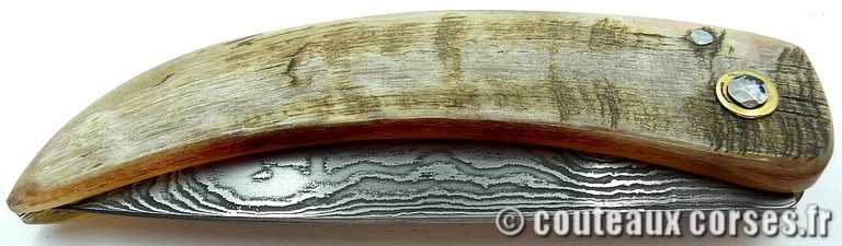 curnicciolu-damas-et-corne-de-belier-_MLJG843-padovani-12