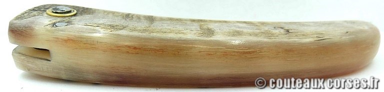 curnicciolu-damas-et-corne-de-belier-_MLJG843-padovani-12