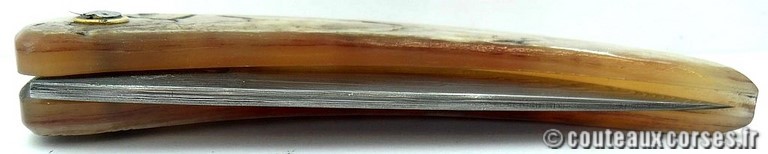 curnicciolu-damas-et-corne-de-belier-_MLJG843-padovani-13