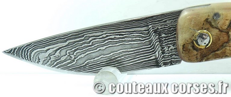 couteau corse curnicciolu damas et corne de belier curnicciolu-damas-et-corne-de-belier-_MLJG843-padovani-18