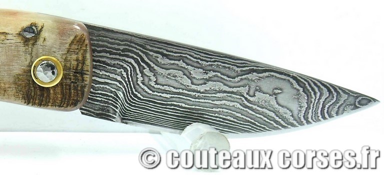 couteau corse curnicciolu damas et corne de belier curnicciolu-damas-et-corne-de-belier-_MLJG843-padovani-11