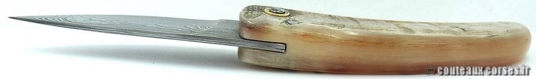 curnicciolu-damas-et-corne-de-belier-_MLJG843-padovani-14