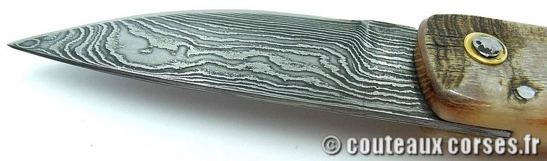 curnicciolu-damas-et-corne-de-belier-_MLJG843-padovani-189