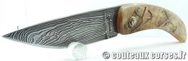 Curnicciolu corne de belier et damas king size M Padovani curnicciolu-damas-et-corne-de-belier-_MLJG843-padovani-1
