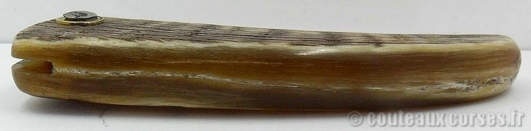 curniccioulu-carbone-et-corne-manu-padovani-4