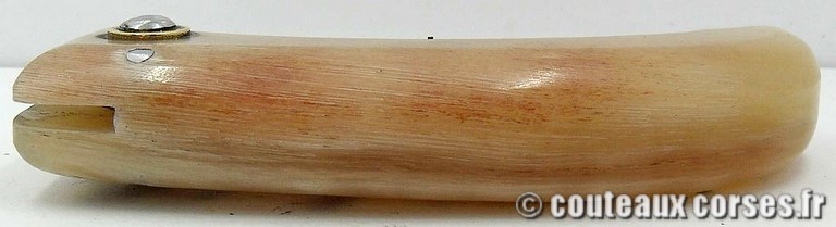 curnicciolu-corne-manu-padovani-98-4