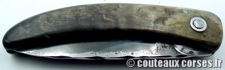 couteau-corse-curnicciolu-85ZE-padovani-151-2