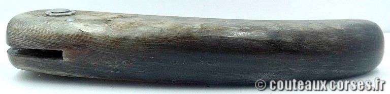 couteau-corse-curnicciolu-85ZE-padovani-151-4