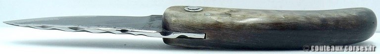couteau-corse-curnicciolu-85ZE-padovani-151-8