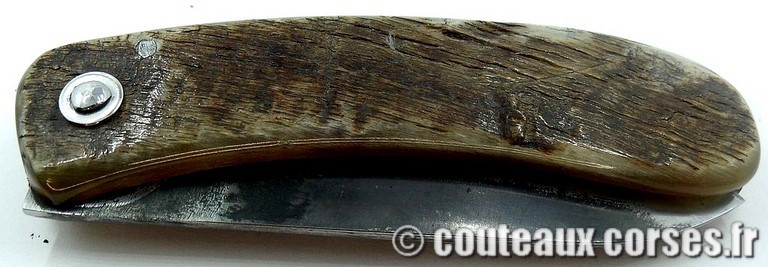 couteau-corse-curnicciolu-47KF-padovani-151