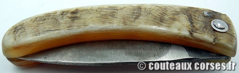 couteau-corse-curnicciolu-couteau-corse-curnicciolu-47KF-padovani-2