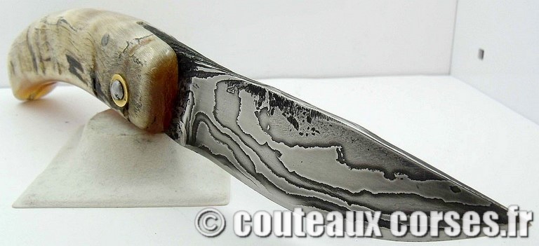 curnicciolu-damas-et-corne-de-belier-M-Padovani-1-5-8