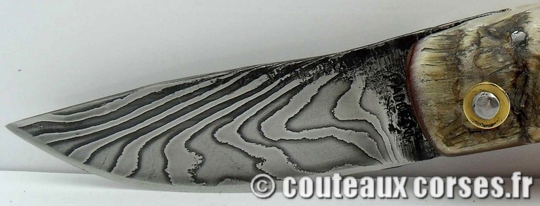 couteau corse curnicciolu damas et corne de belier curnicciolu-damas-et-corne-de-belier-M-Padovani-1-5-6.