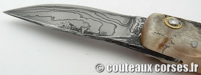 curnicciolu-damas-et-corne-de-belier-M-Padovani-89