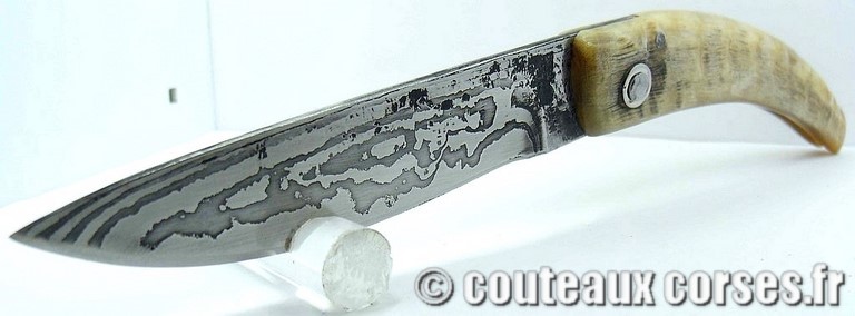 Curnicciolu corne de belier et damas M Padovani curnicciolu-damas-et-corne-de-belier-padovani-YH58-1