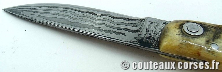 curnicciolu-damas-et-corne-de-belier-padovani-YH58-89