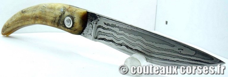curnicciolu-damas-et-corne-de-belier-padovani-YH58-8