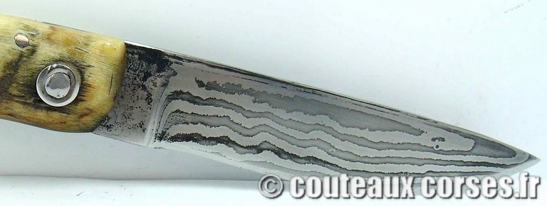 couteau corse curnicciolu damas et corne de belier curnicciolu-damas-et-corne-de-belier-padovani-YH58-8