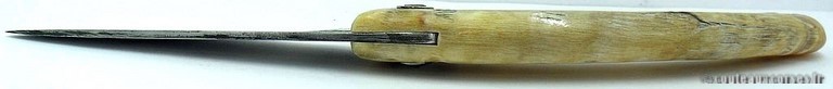 curnicciolu-damas-et-corne-de-belier-padovani-YH58-4